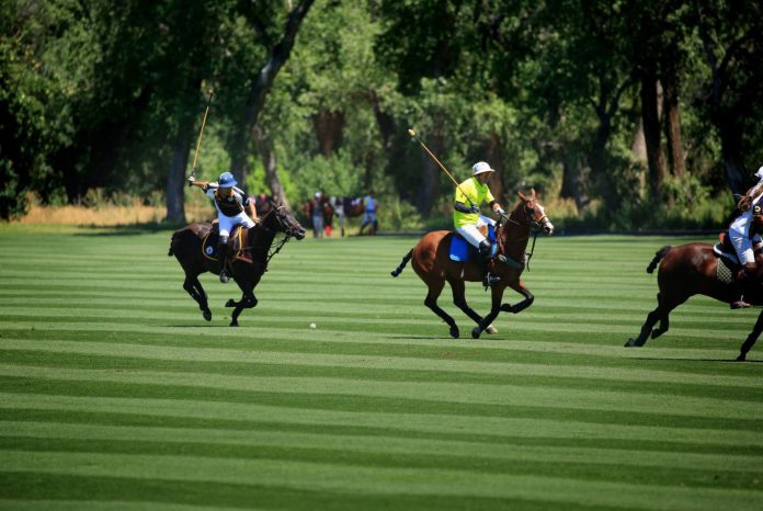 sachin and babi light blue dress Singapore Polo Club (@singaporepoloclub) · Singapore, Singapore