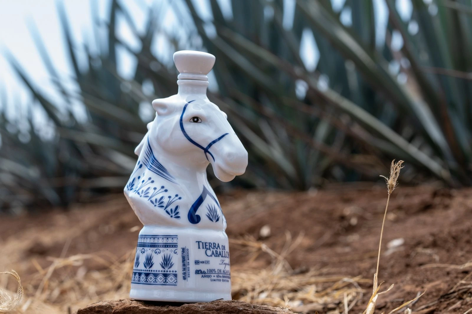 Sipping Spirit of the Stallion: The Soul of Tierra de Caballos
